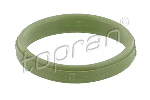 Dichtung, Ansaugkrümmer