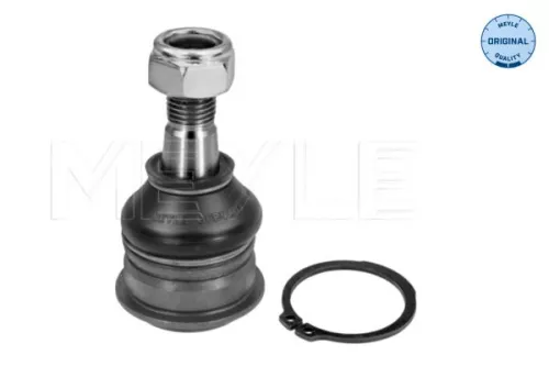 Trag-/Führungsgelenk