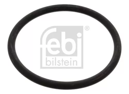 Dichtung, Thermostat