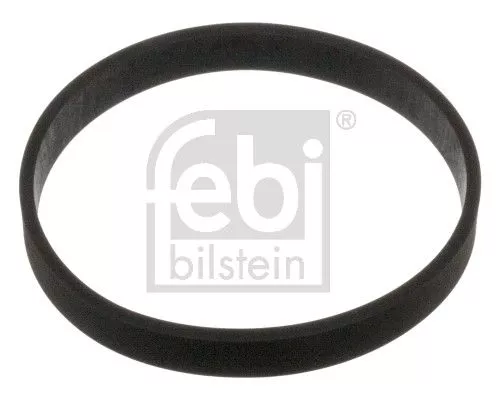 Dichtung, Ansaugkrümmergehäuse