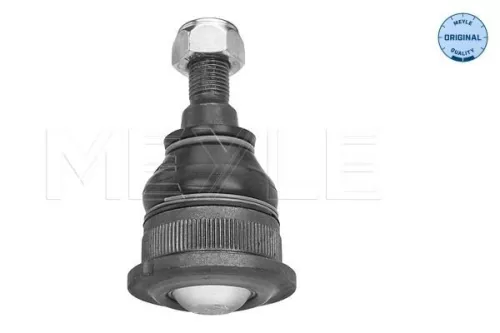 Trag-/Führungsgelenk