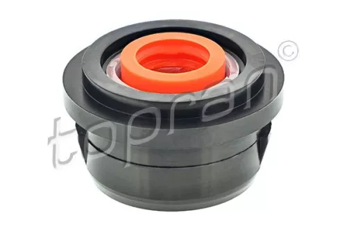 Buchse, Schaltstange