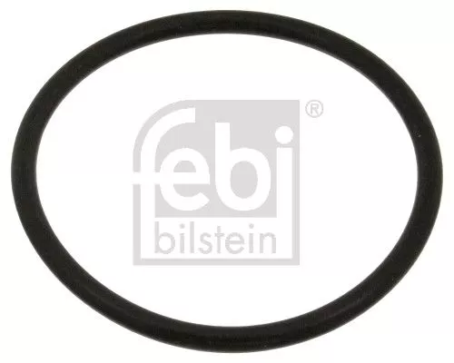 Dichtung, Kühlmittelflansch