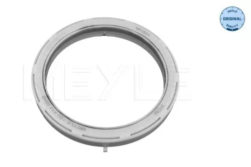 Wälzlager, Federbeinstützlager