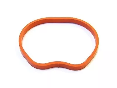 Dichtung, Ansaugkrümmer