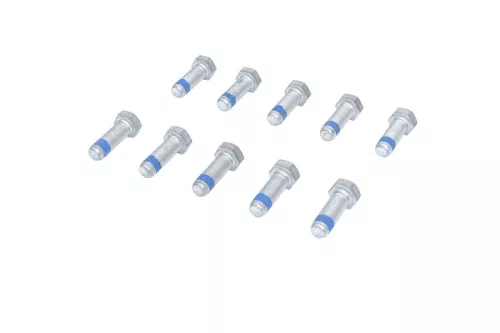 Schraube, Bremssattel