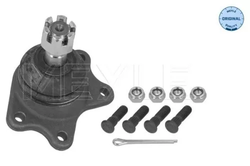 Trag-/Führungsgelenk