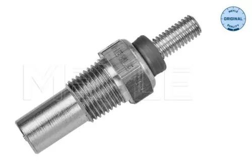 Sensor, Kühlmitteltemperatur