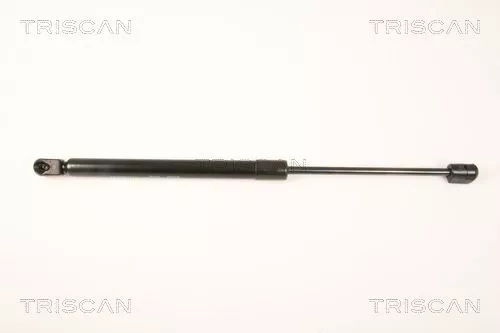 Gasfeder, Koffer-/Laderaum