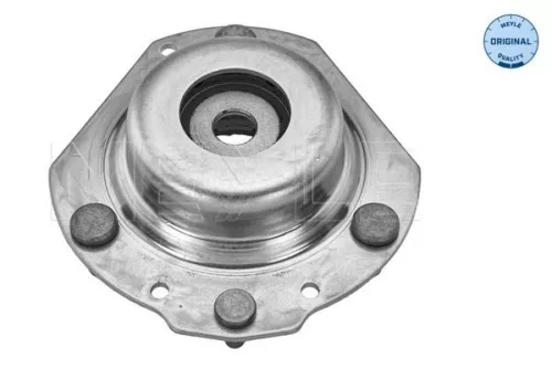 Federbeinstützlager