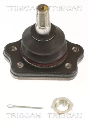 Trag-/Führungsgelenk