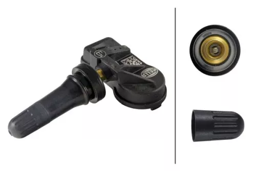 Radsensor, Reifendruck-Kontrollsystem