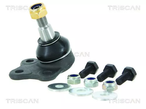 Trag-/Führungsgelenk