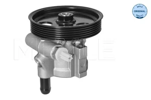 Hydraulikpumpe, Lenkung