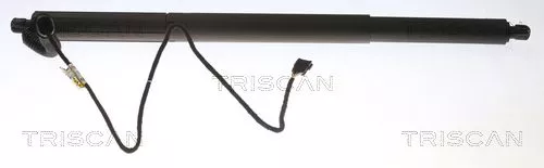 Gasfeder, Koffer-/Laderaum