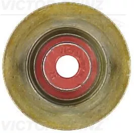 Dichtring, Ventilschaft