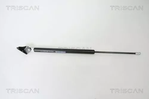 Gasfeder, Koffer-/Laderaum