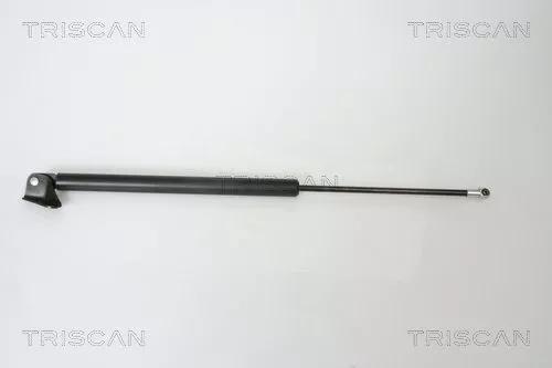 Gasfeder, Koffer-/Laderaum