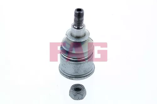 Trag-/Führungsgelenk