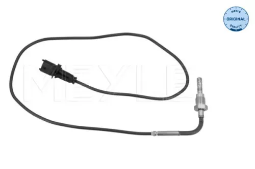 Sensor, Abgastemperatur