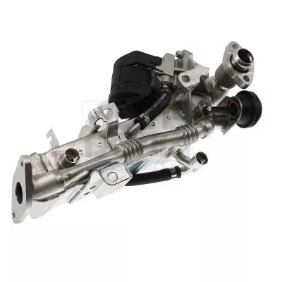 Kühler, Abgasrückführung