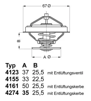 Thermostat, Kühlmittel