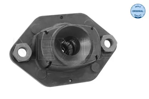 Federbeinstützlager