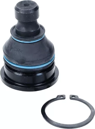 Trag-/Führungsgelenk