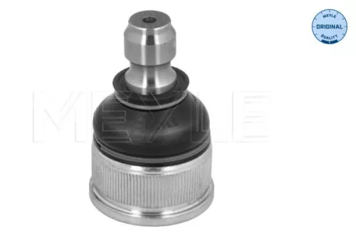 Trag-/Führungsgelenk