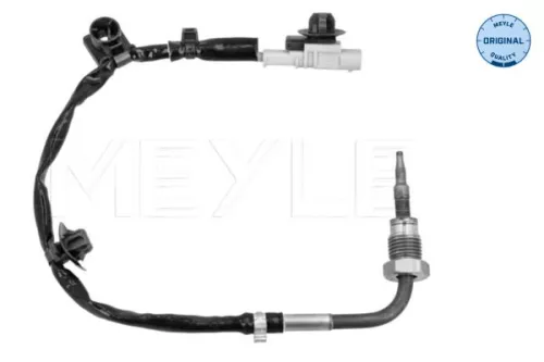 Sensor, Abgastemperatur