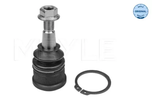 Trag-/Führungsgelenk