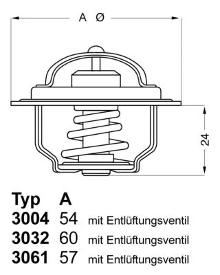 Thermostat, Kühlmittel