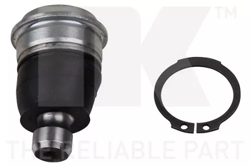 Trag-/Führungsgelenk