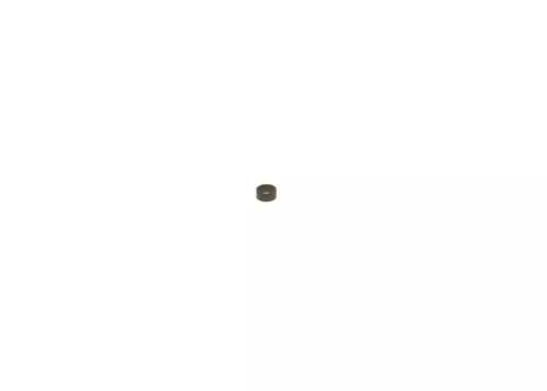 Dichtring, Einspritzventil