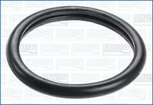 Dichtung, Thermostat