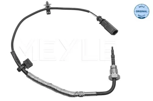 Sensor, Abgastemperatur