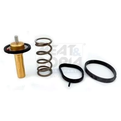 Thermostat, Kühlmittel