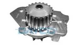 Wasserpumpe, Motorkühlung