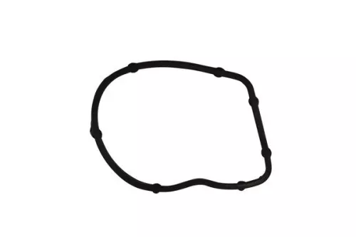 Dichtung, Ansaugkrümmergehäuse