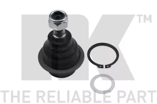 Trag-/Führungsgelenk